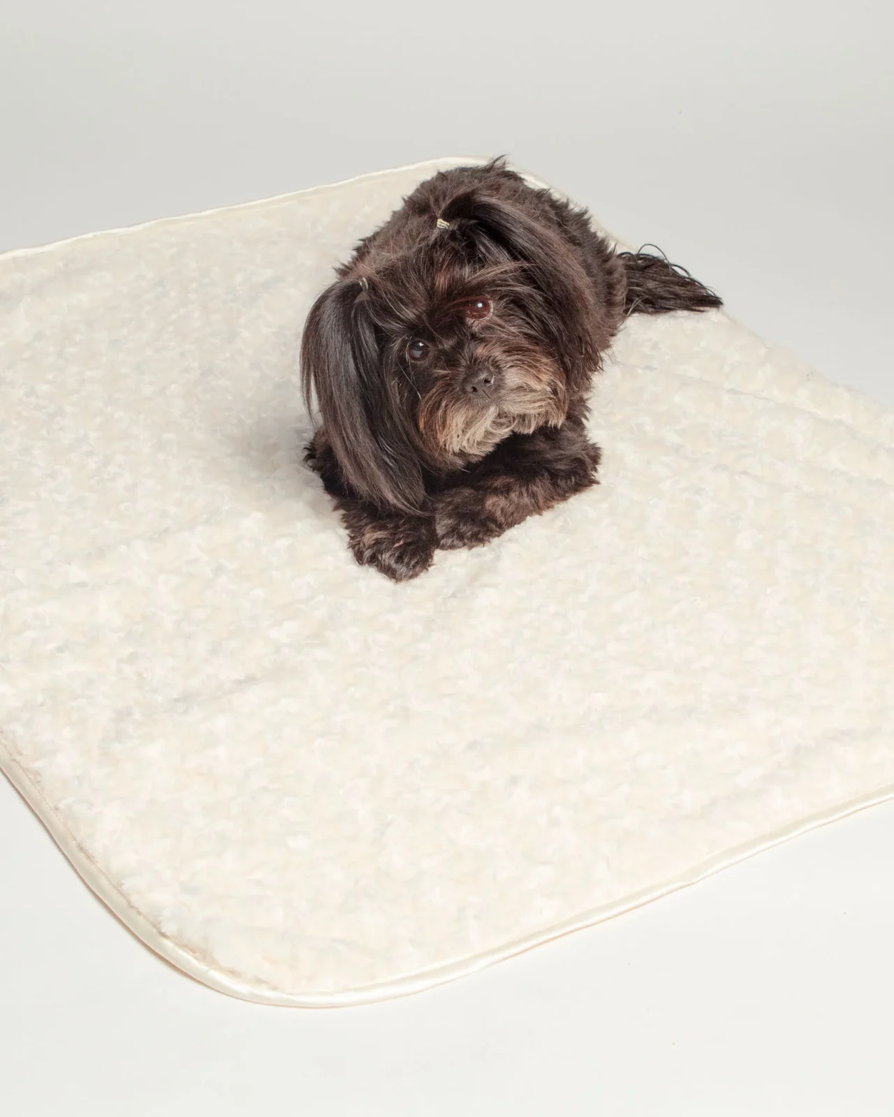 Rosebud Dog Blanket in Cream (Made in the USA)