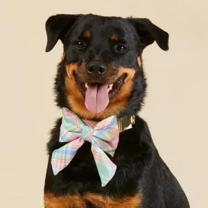 Blooming Plaid Lady Dog Bow (FINAL SALE)