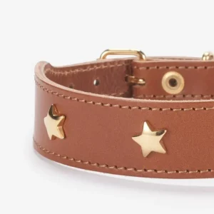 Cognac Leather Dog Collar with Brass Stars (Made in Italy)