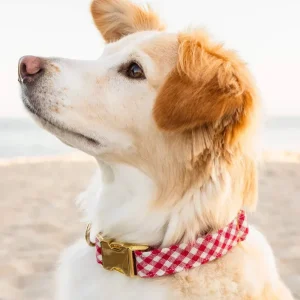 Red Gingham Dog Collar