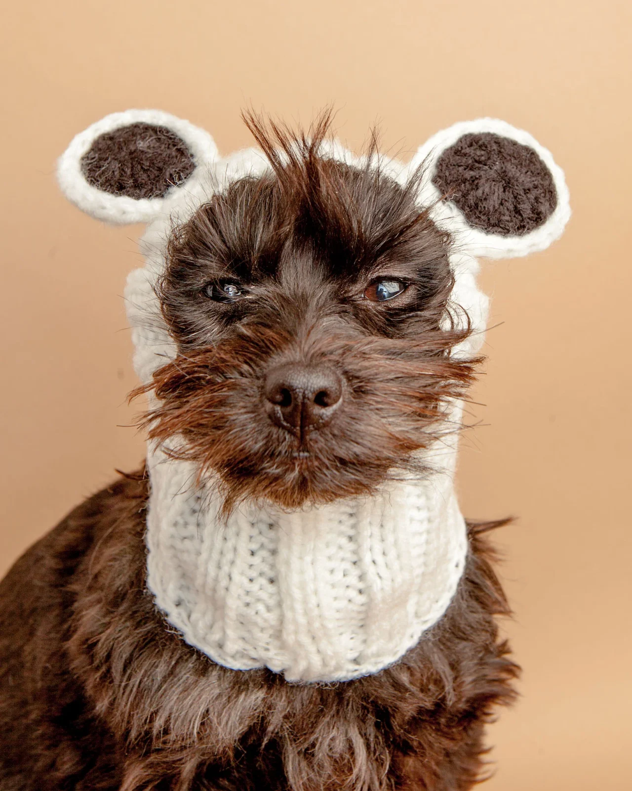 Knit Panda Dog Snood (FINAL SALE)