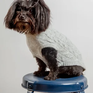 Fuzzy Knit Dog Crewneck Sweater in Heather Grey (FINAL SALE)