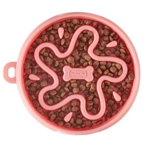 Fun Feeder Star Red SM - The Companion Brands Company LLC dba Outward Hound