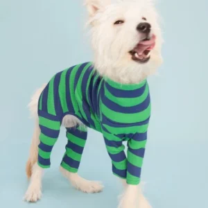 Martian Green + Navy Stripe Ribbed Onesie (FINAL SALE)