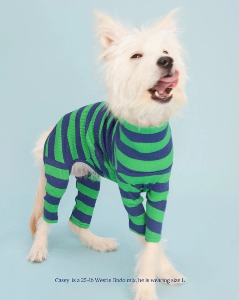 Martian Green + Navy Stripe Ribbed Onesie (FINAL SALE)