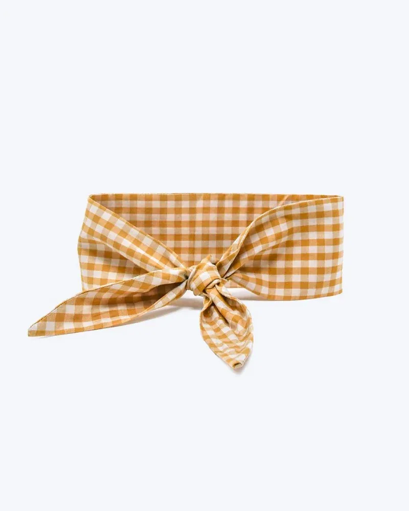 Adventure Neck-Tie In Sunny Day Gingham For Dogs & Cats(Made in the USA) (FINAL SALE) - Image 2