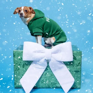 Urban Dog Tracksuit in Green (FINAL SALE)
