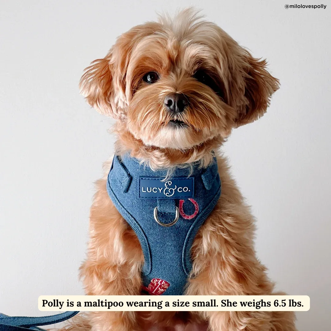 Cute to Boot No-Pull Harness - Image 2