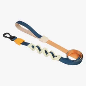 Ruff Leash for Dogs in Voyage