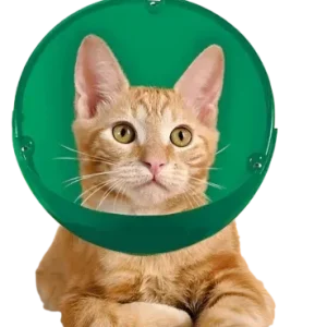 Cat and Small Dog E-Collar and Muzzle