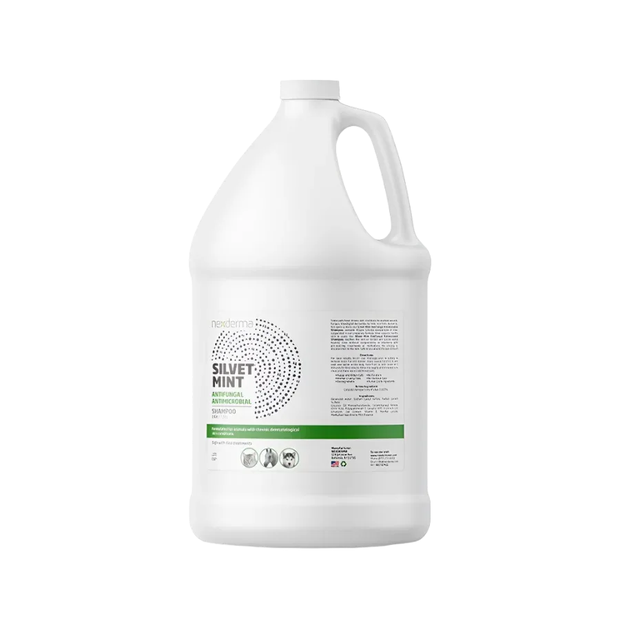 Silvet Mint Antifungal Antimicrobial Shampoo Gallon by Nexderma