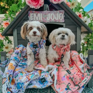 Pet Blanket - Disney's Jasmine