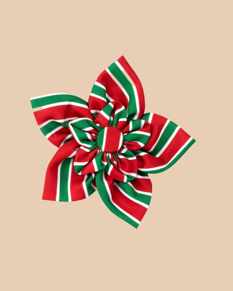 Christmas Collar/Harness Flower in Holiday Stripe <>