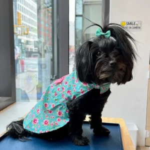 Watercolor Floral Dog Dress (FINAL SALE)