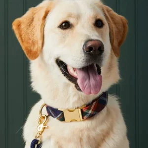 Dakota Plaid Flannel Dog Collar (Made in the USA)