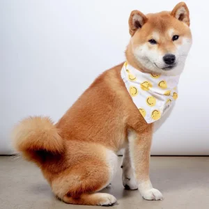 Elsie Dog Bandana (FINAL SALE)