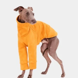 Long Sleeve Dog Turtleneck in Yellow (FINAL SALE)