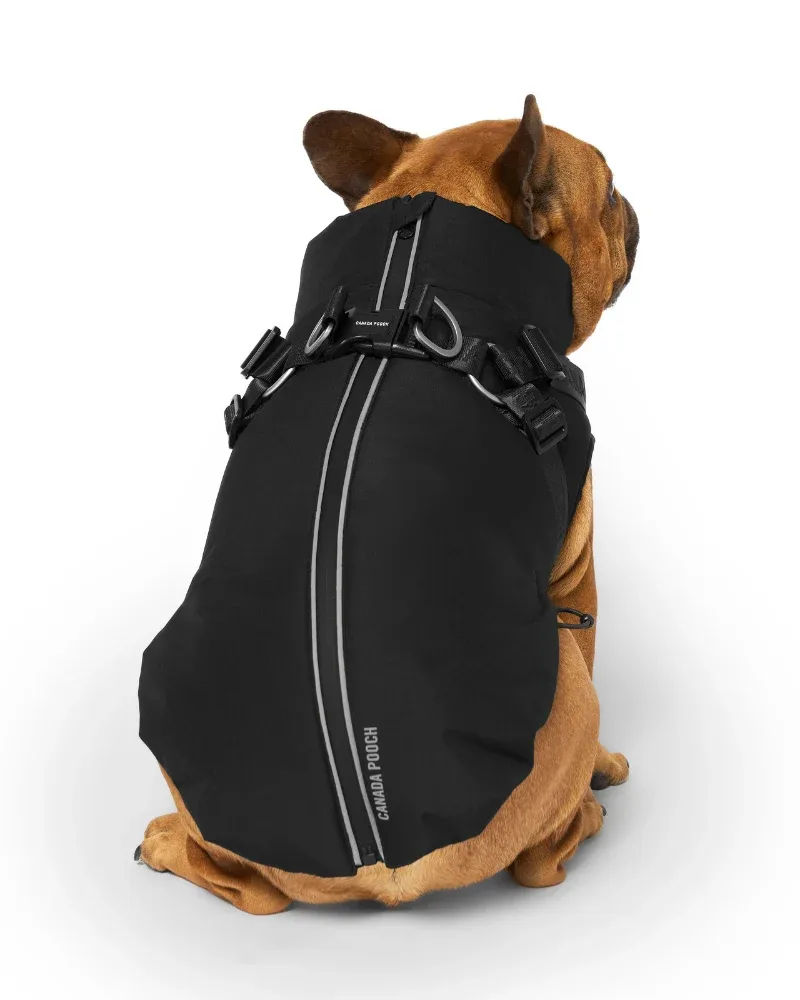 Complete Control Harness Winter Dog Jacket - Image 2