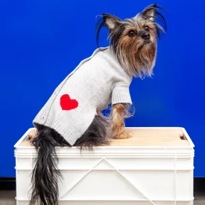 Heart Merino Wool Dog Cardigan Sweater in Grey (FINAL SALE)