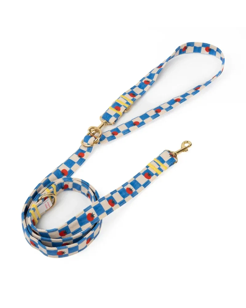 Pomodoro Multi-position Dog Leash (Made in Spain)