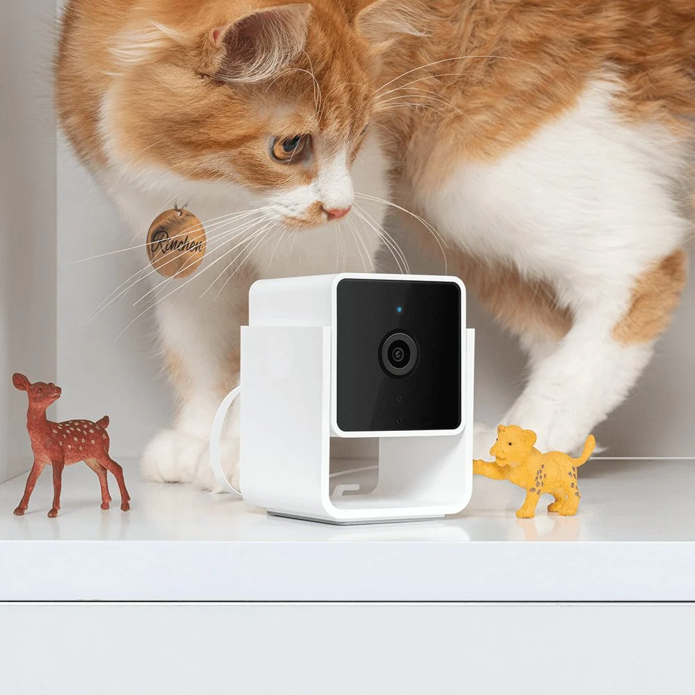 1080p Pet Camera with Two Way Audio - Image 2