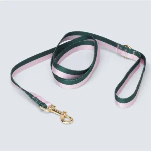 Hunter + Blush Stripe Dog Leash (FINAL SALE)