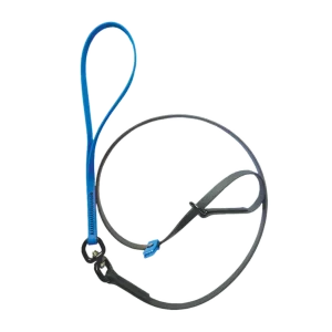 Swivel Slip Lead Light Blue by Alpha Grooming