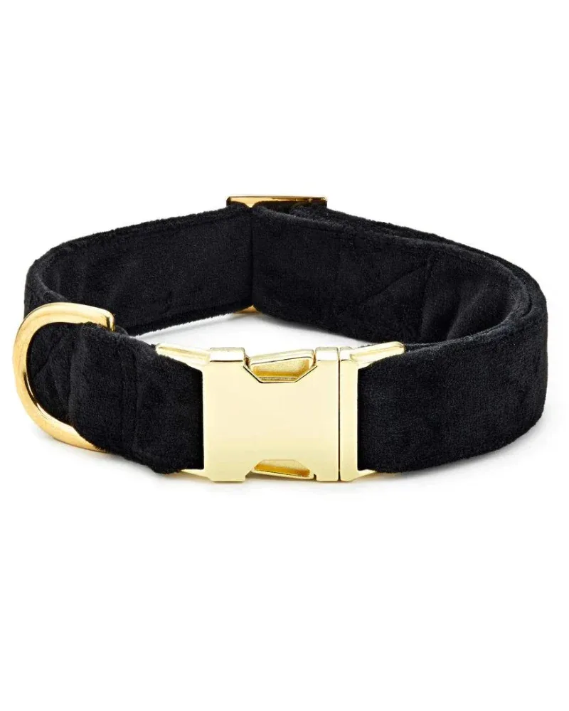 Black Velvet Dog Collar (Made in the USA) (FINAL SALE)
