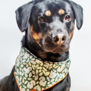 Fall Squirrel Dog Bandana (Made in the USA)