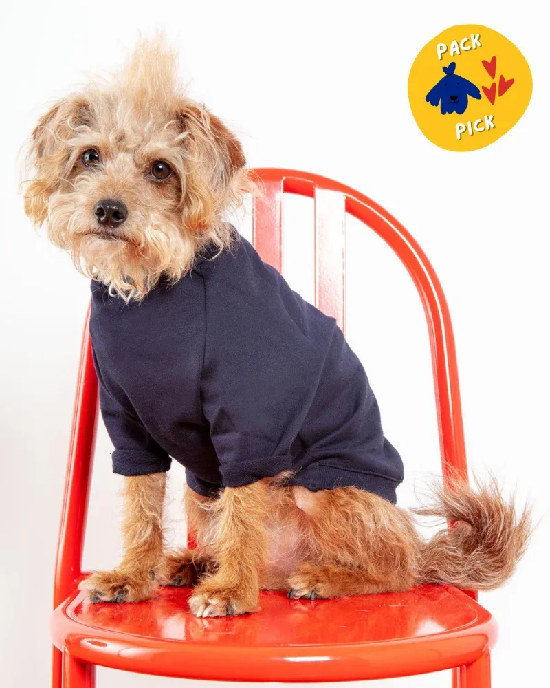 Cut-Sleeve Crewneck Pullover in New Navy (Made in NYC!) (FINAL SALE)