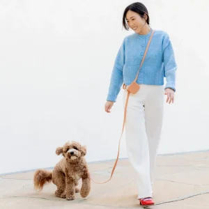 4-in-1 Convertible Hands Free Dog Leash in Chai Brown
