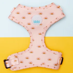 Soft Mesh Dog Harness in Joshua Tree Print (FINAL SALE)