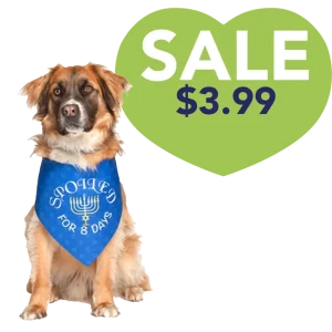 Hanukkah Holiday Dog Bandana by Dog Fashion Living