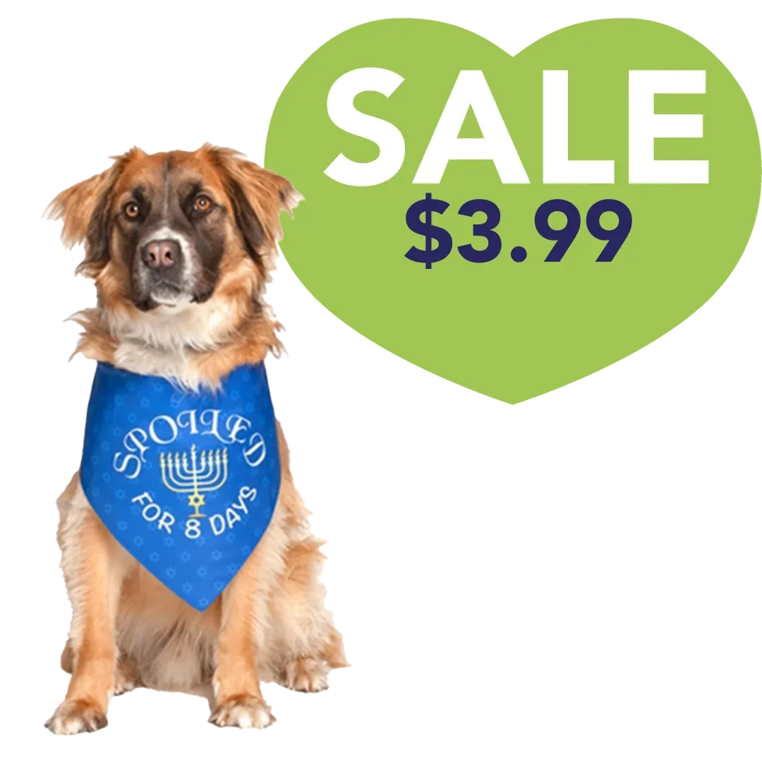 Hanukkah Holiday Dog Bandana by Dog Fashion Living