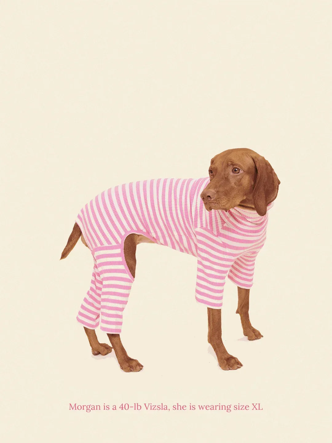 Hug Me Ribbed Dog Onesie (FINAL SALE) - Image 2