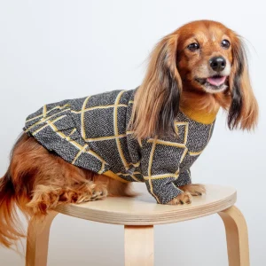 Check Dress for Dogs in Mustard Yellow (FINAL SALE)