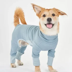 High-Neck Dog Onesie in Light Blue