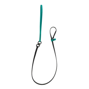Swivel Slip Lead Teal by Alpha Grooming