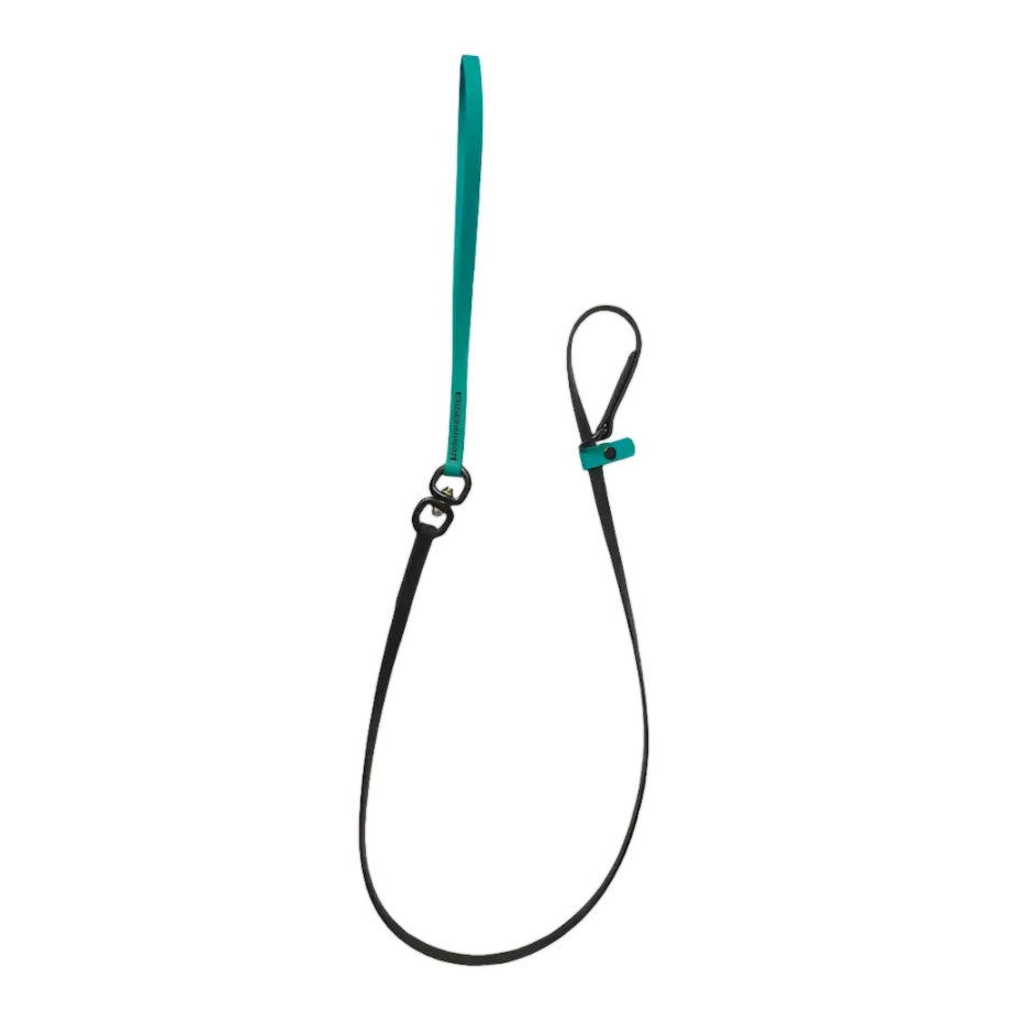 Swivel Slip Lead Teal by Alpha Grooming