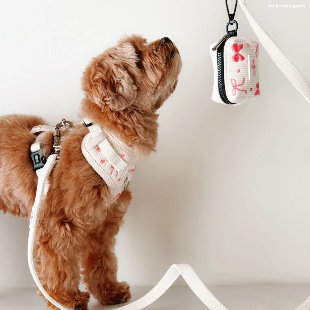 Ever So Sweet Corduroy Leash - Image 2