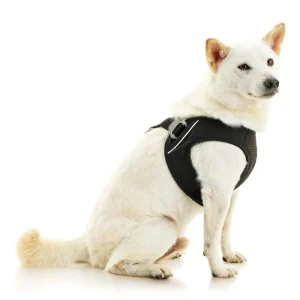 Escape-Free Easy Fit Plus Dog Harness (FINAL SALE)