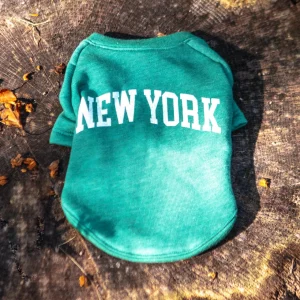 New York Dog Sweatshirt in Forest Heather