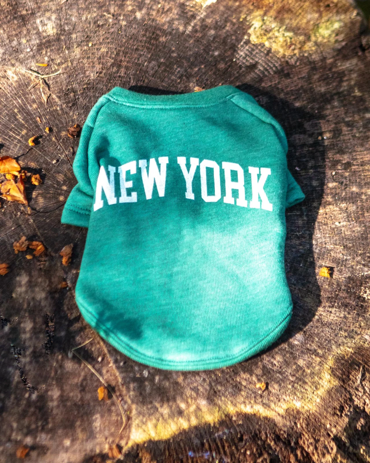 New York Dog Sweatshirt in Forest Heather