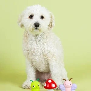 Keeping it Natural 3 Piece Squeaky Latex Dog Toy Set (FINAL SALE)