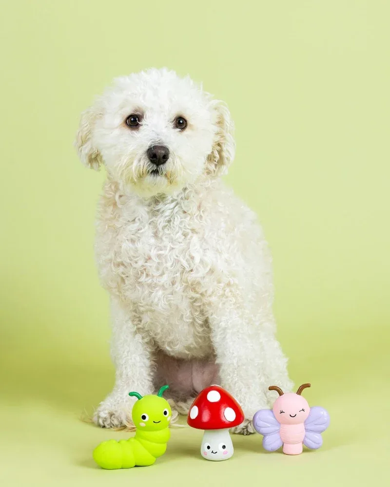 Keeping it Natural 3 Piece Squeaky Latex Dog Toy Set (FINAL SALE)
