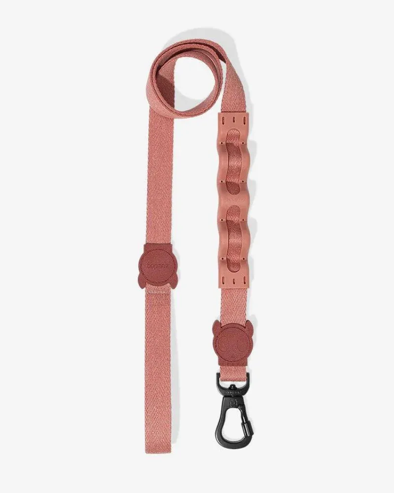 Ruff Leash for Dogs in Canyon (FINAL SALE)