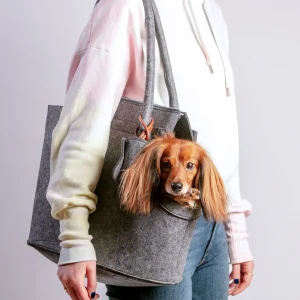 Lightweight Dog Carrier in Soft Ash Grey