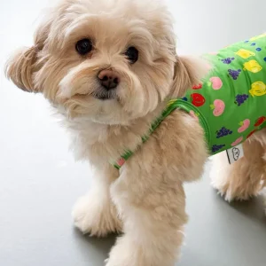 Fruit Juice Dog Cooling Tank (FINAL SALE)