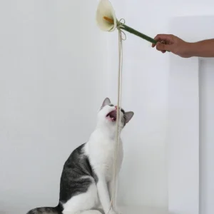 Calla Lily Flora Wand Cat Toy (17" inch)