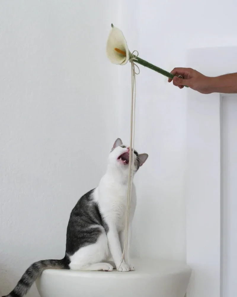 Calla Lily Flora Wand Cat Toy (17" inch)